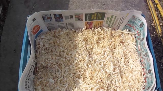 В теплице: как проращиваю картофель и готовлю грядки для томатов. смотреть онлайн