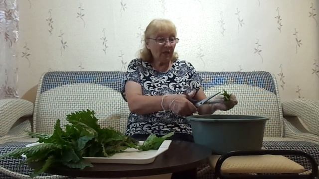 Крапива помощница на даче и в огороде. смотреть онлайн