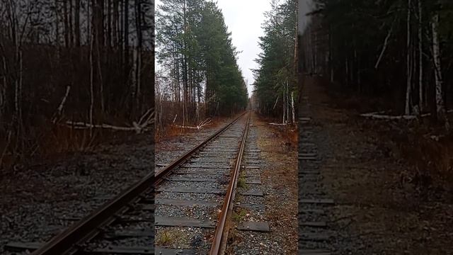 шаманская болезнь и непонятные (последствия) явления смотреть онлайн