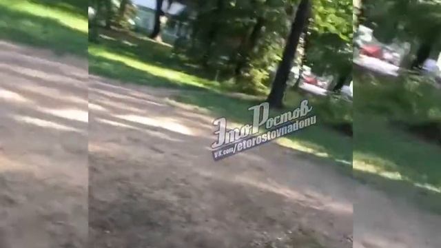 В Ростове пенсионер очистил от мусора спортплощадку смотреть онлайн