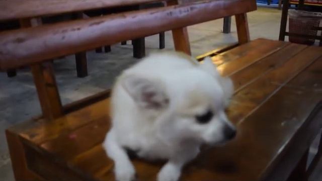 паттайя таиланд 2018 новые знакомства безлимитный буфет. смотреть онлайн