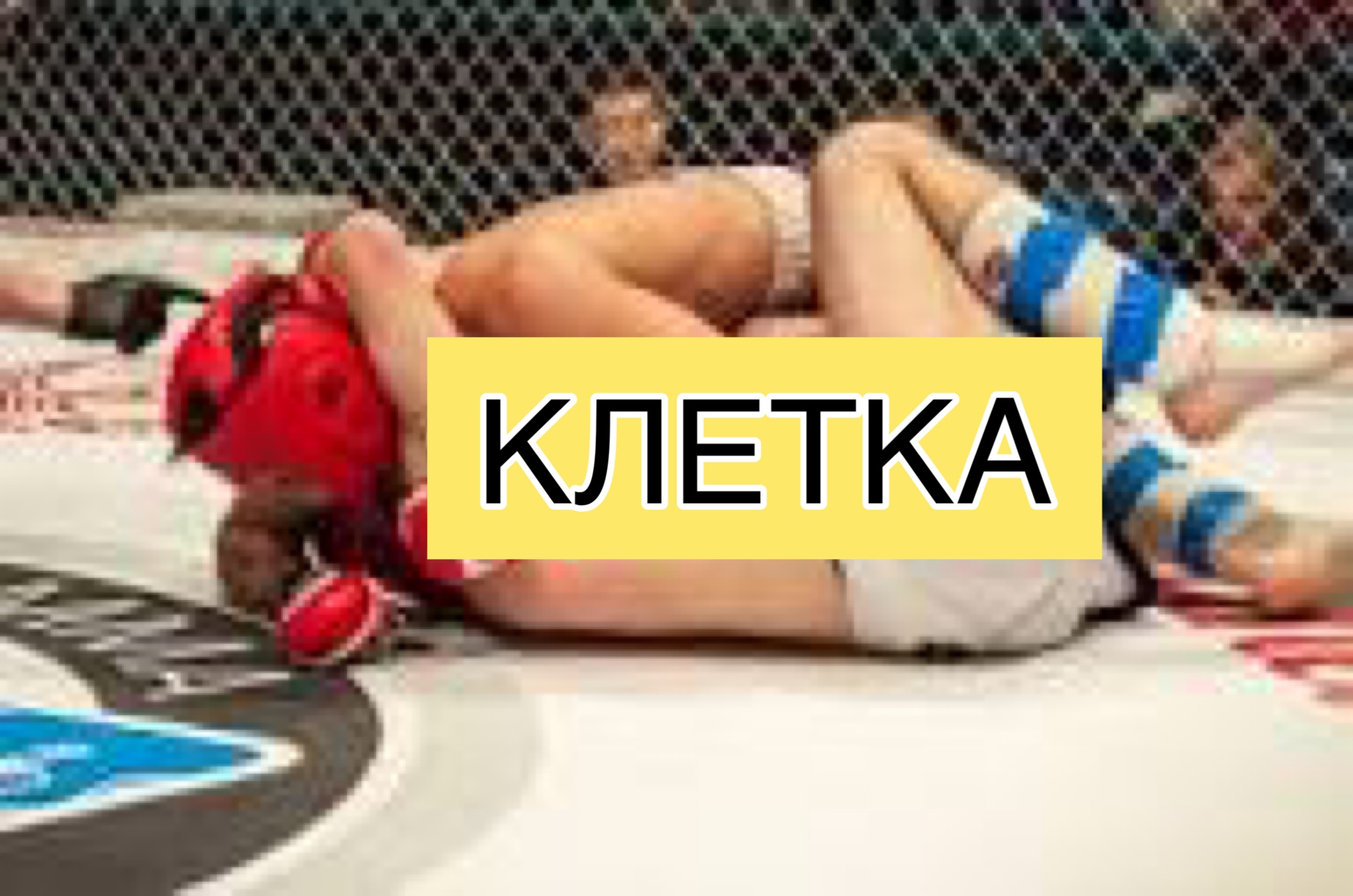 БОЙ ПО ММА В КЛЕТКИ. смотреть онлайн