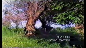 Dadaxon Xasanov- Shermuhammadbek Qo'rboshi
