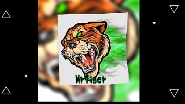 MrTiger