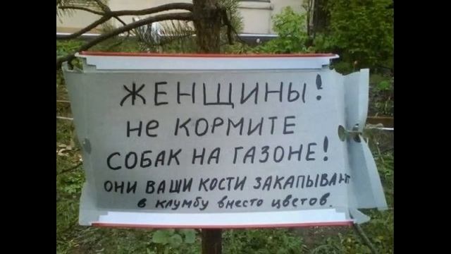 Смешные ценники и надписи смотреть онлайн