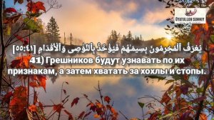 Сура ар Рахман. Файсал ар Рушуд. Перевод Эльмира Кулиева