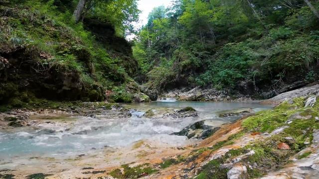 Журчание Воды со Звуками Природы/Красивый Лесной Ручей/Для Крепкого Сна / Nature sounds for sleepin смотреть онлайн