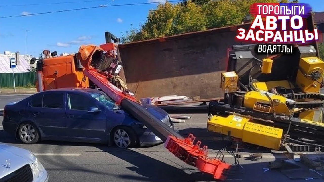 Смотри в оба на дороге! Торопыги и Водятлы среди нас смотреть онлайн