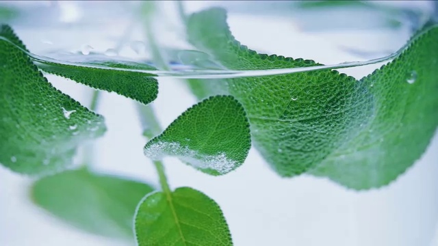 Изжога лечение. Народные средства от изжоги ч.2