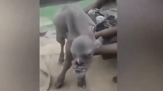 Случайно снятое на камеру Необъяснимо! смотреть онлайн