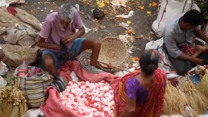 Китай больше не первый. На смену ему приходит Индия