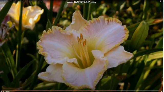 КРАТКИЙ, но МНОГОЗНАЧНЫЙ ОТВЕТ !!! смотреть онлайн