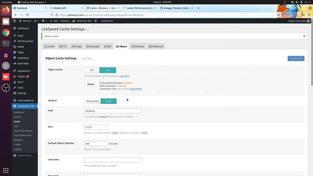 LiteSpeed Cache Plugin - Best settings for WordPress смотреть онлайн
