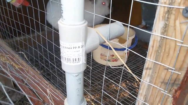 DIY - Поилки для кроликов. Система нипельного поения. смотреть онлайн