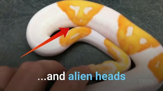 Накричи на свой компьютер, питон с эмодзи, поп-Папа — новости, удивившие на неделе смотреть онлайн