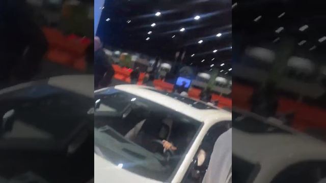This car show was LIT! смотреть онлайн