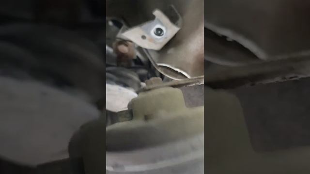 Vauxhall Zafira 2006 horn not working смотреть онлайн