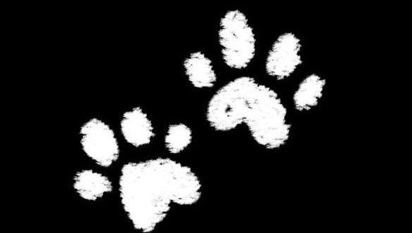 ОБЗОР НА КАМЕРУ