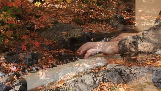 Cyril Scott - Autumn Idyll - Tatiana Pichkaeva, piano смотреть онлайн