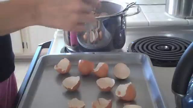 How to make egg shell calcium смотреть онлайн