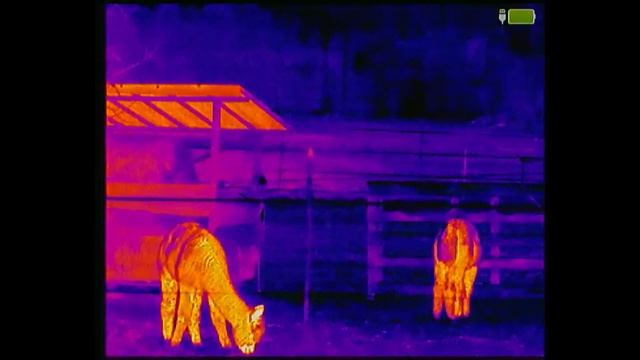 InfiRay MH-25 Thermal Imager (English)