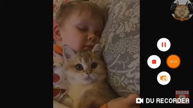 Котиаи милые с музнам я это делал 8 часов смотреть онлайн