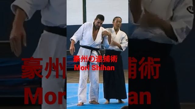 Mori Shihan「豪州の逮捕術」森師範 [ Police technique ] Aikido Yoshinkan Brisbane Dojo 合氣道養神館豪州道場 смотреть онлайн