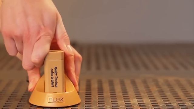 Рыболовы на Природе