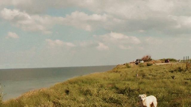 РУМЫНИЯ: Прогулка по румынской деревне Vama Veche... Romania смотреть онлайн