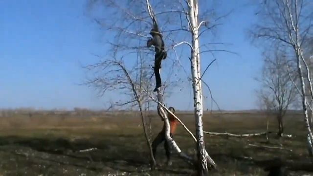 когда цветут подснежники смотреть онлайн