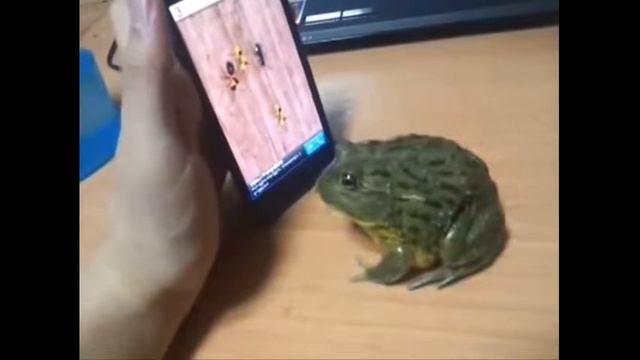 Игрок 80 уровня смотреть онлайн