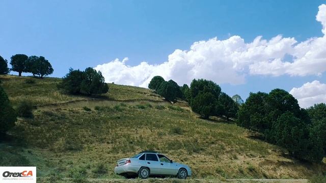 Padang forest near Boysun village (Uzbekistan). смотреть онлайн