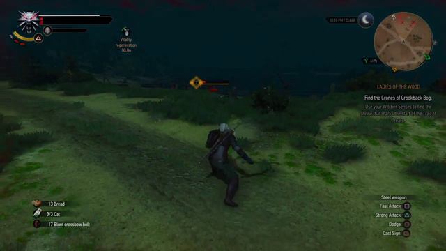 The Witcher 3 -- Geralt Vs. Pirates