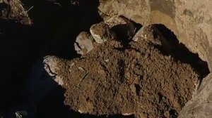 Посадка при грунтовых водах   уДачные советы