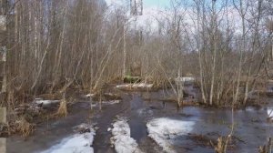 Пелец отзывы. Вездеход Пелец на болоте