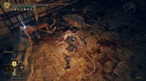 ELDEN RING™ Фарм Рунических Дуг