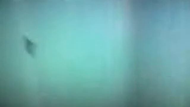 Laundry Ghost, Rare footage смотреть онлайн