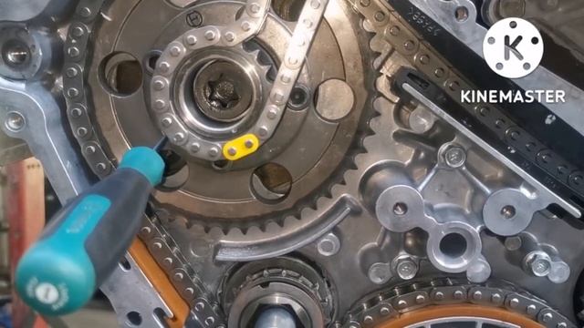 Timing Mark YD25 | Timing Chain Nissan Navara