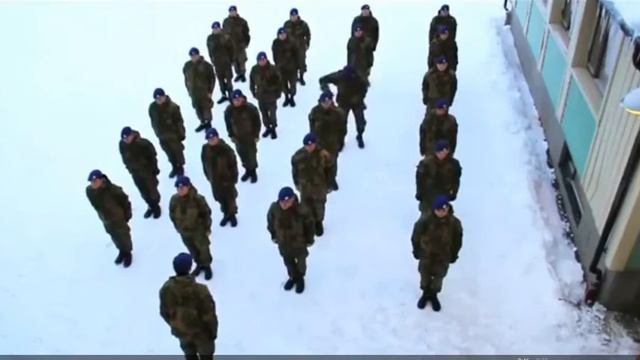 Harlem Shake (в армии) смотреть онлайн