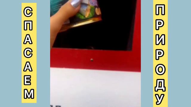 СПАСАЕМ ПРИРОДУ С Марией Томо. Сдаём сортированный мусор для переработки, улучшаем экологию вместе