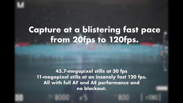 Nikon Z9 Mirrorless Digital Camera | Outdoorphoto