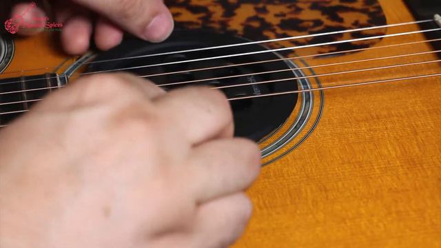 Vertech SM-10 Acoustic Guitar Feedback Suppressor смотреть онлайн