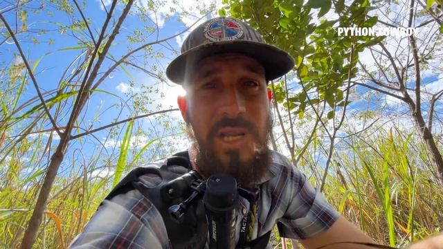 Heading Back To Python Island Hunting Pythons With Moose смотреть онлайн
