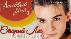 Андрей Разин - Старый лес