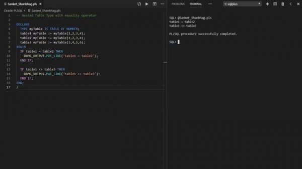 Collections (Oracle PL/SQL)
