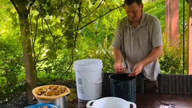 Заготовка Грибов на Зиму?Маринуем Маслята ?Очень Вкусный Рецепт смотреть онлайн