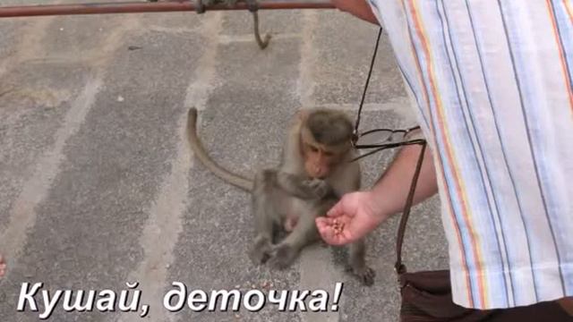 Зимнее лето 2010 г смотреть онлайн