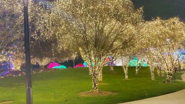 43rd Annual Festival of Lights - Drive Through , Festival of Lights Washington, DC Mormon Temple смотреть онлайн