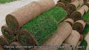 Правильная укладка рулонного газона