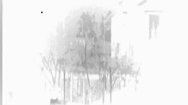 Интеллектуальное Самоубийство-Чёрно-Белый Мир.wmv смотреть онлайн